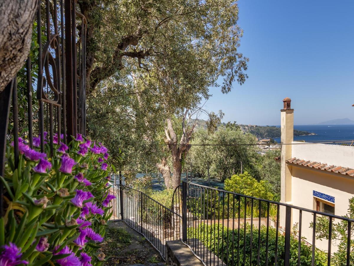 Vila Ulivi Apt Sorrento Exteriér fotografie