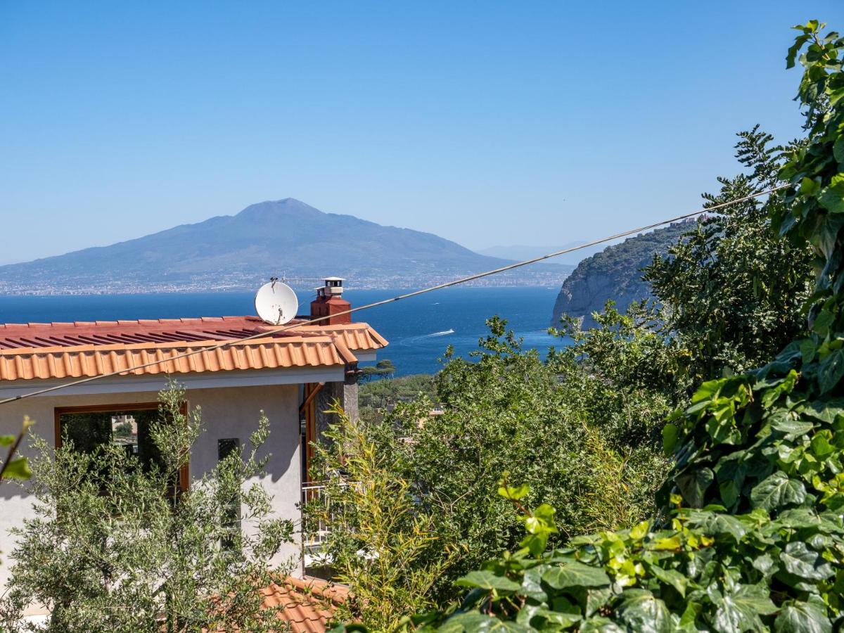 Vila Ulivi Apt Sorrento Exteriér fotografie