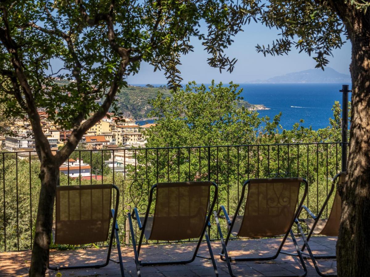 Vila Ulivi Apt Sorrento Exteriér fotografie