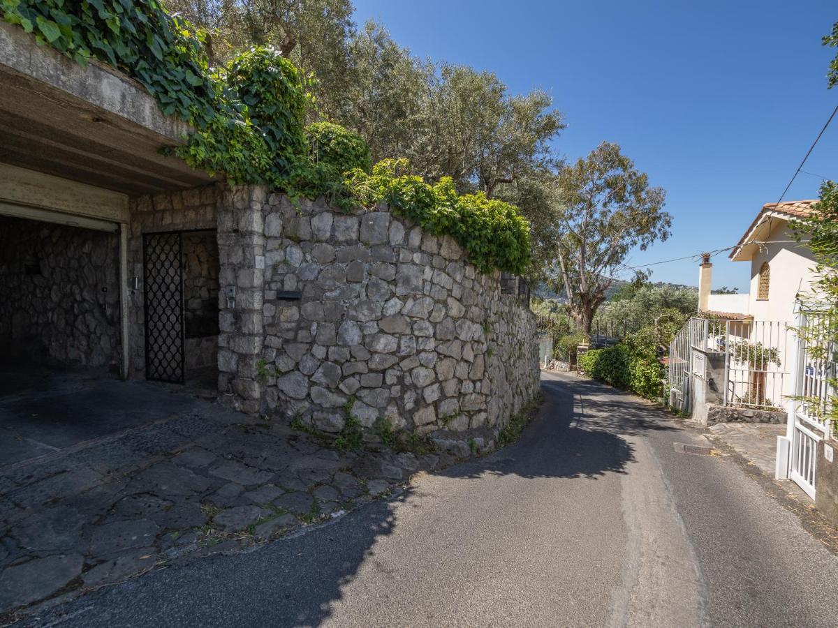 Vila Ulivi Apt Sorrento Exteriér fotografie