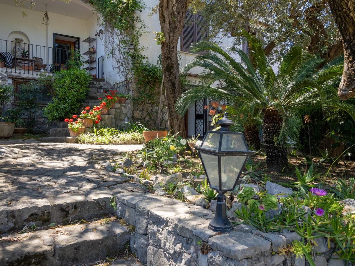 Vila Ulivi Apt Sorrento Exteriér fotografie